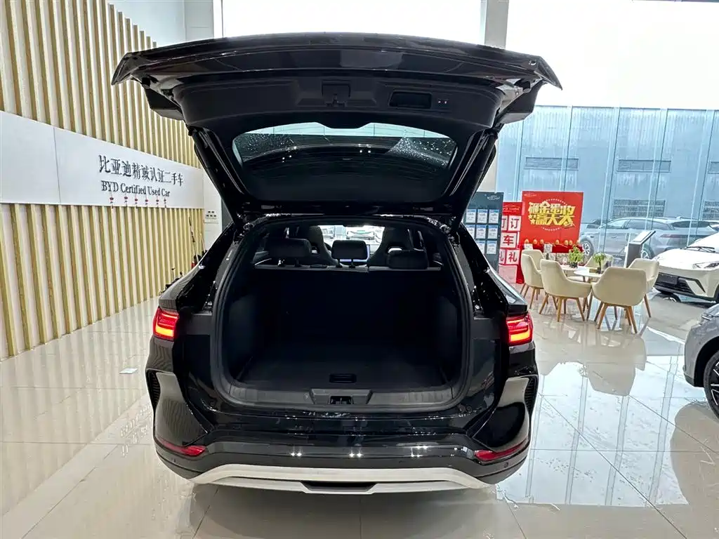 BYD PLUS New Energy 2025 — фото 12