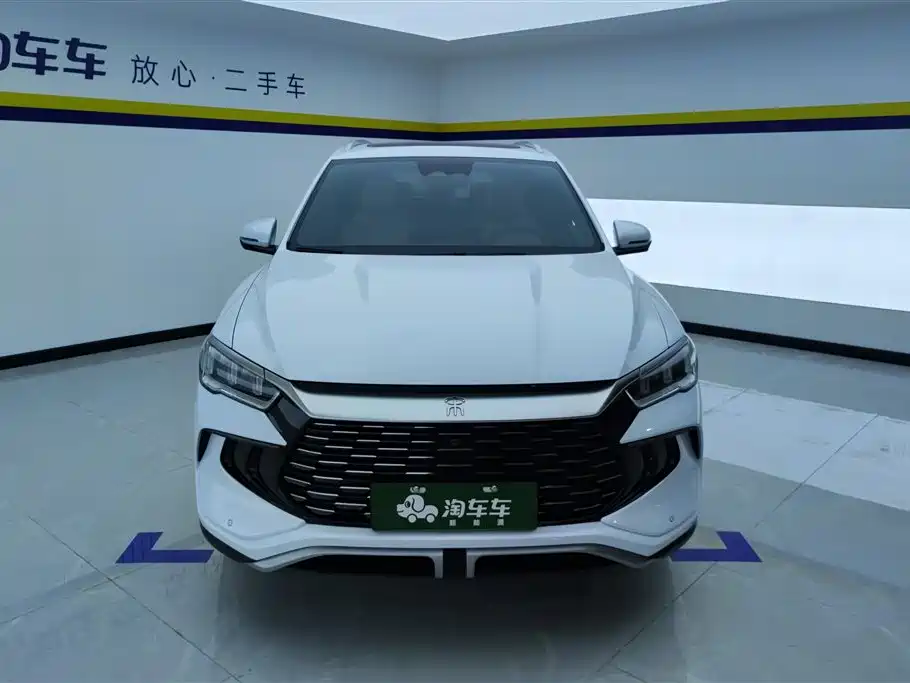 BYD Pro New Energy 2024 — фото 2