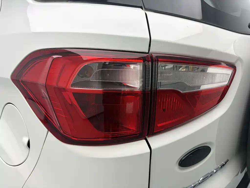 Ford Ecosport 2015 — фото 11