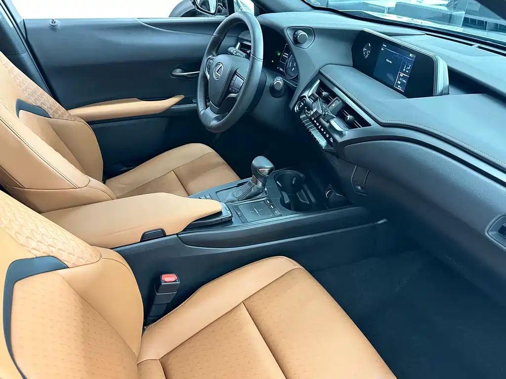 Lexus UX 2020 — фото 16