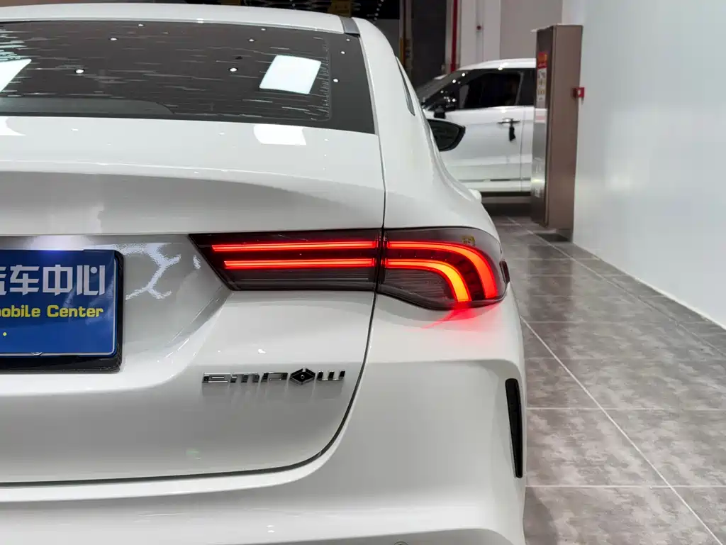 GAC Motor Shadow Leopard 2023 — фото 31
