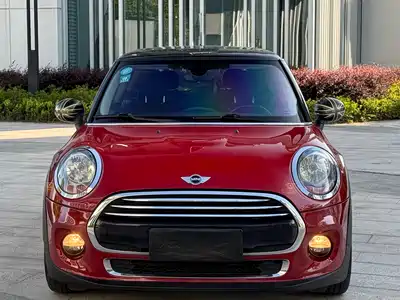 MINI MINI 2014