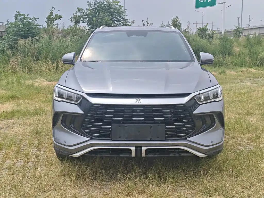 BYD Pro New Energy 2023 — фото 2