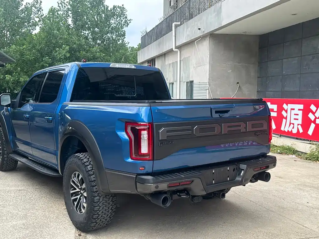 Ford F-150 Raptor 2019 — фото 9