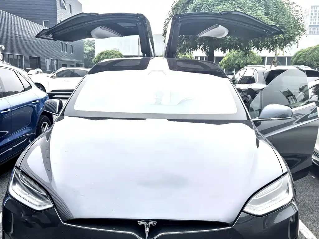 Tesla Model X 2018 — фото 5