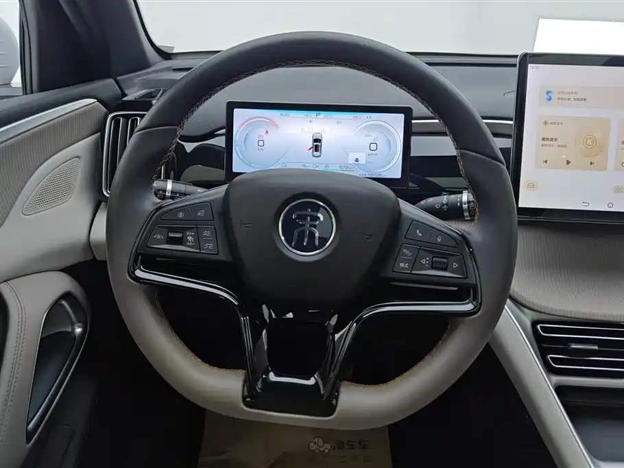 BYD Pro New Energy 2025 — фото 15