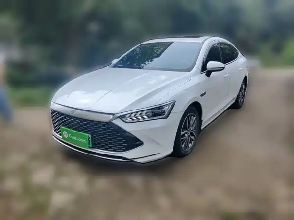 BYD Qin PLUS 2021