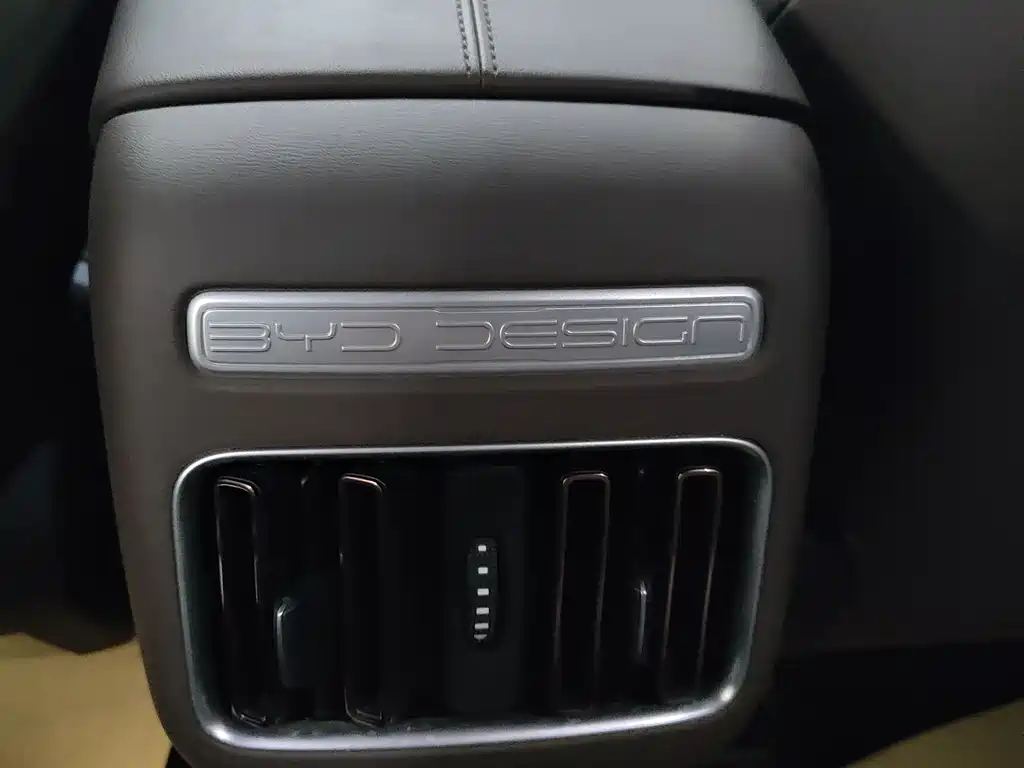 BYD Pro New Energy 2023 — фото 19