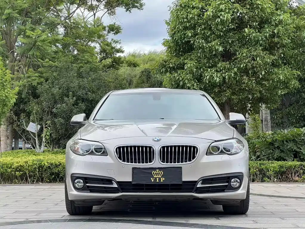 BMW 5 Series 2016 — фото 2