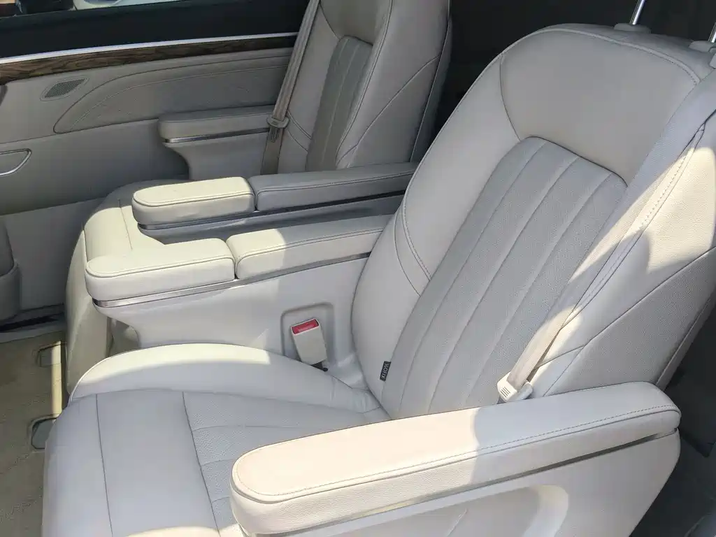 GAC Motor Trumpchi M8 2019 — фото 14