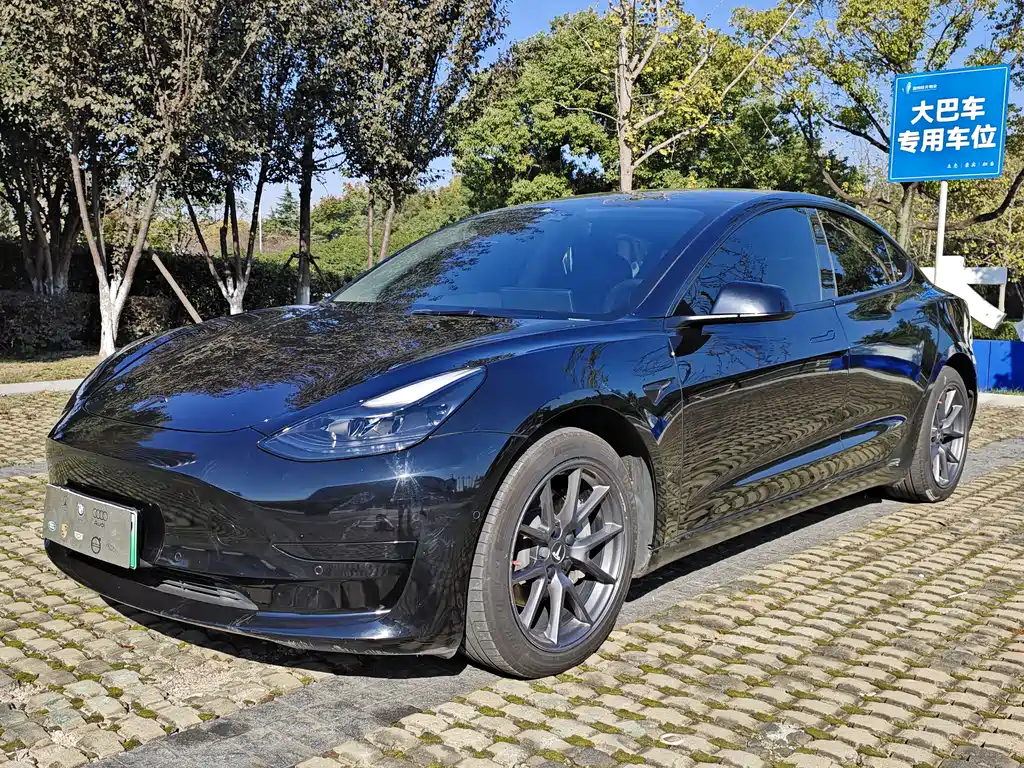 Tesla Model 3 2021 — фото 1