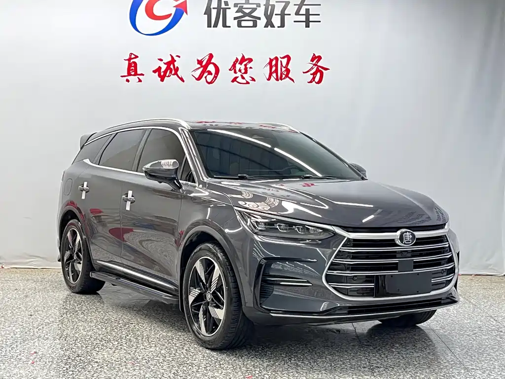 BYD Tang New Energy 2023 — фото 3