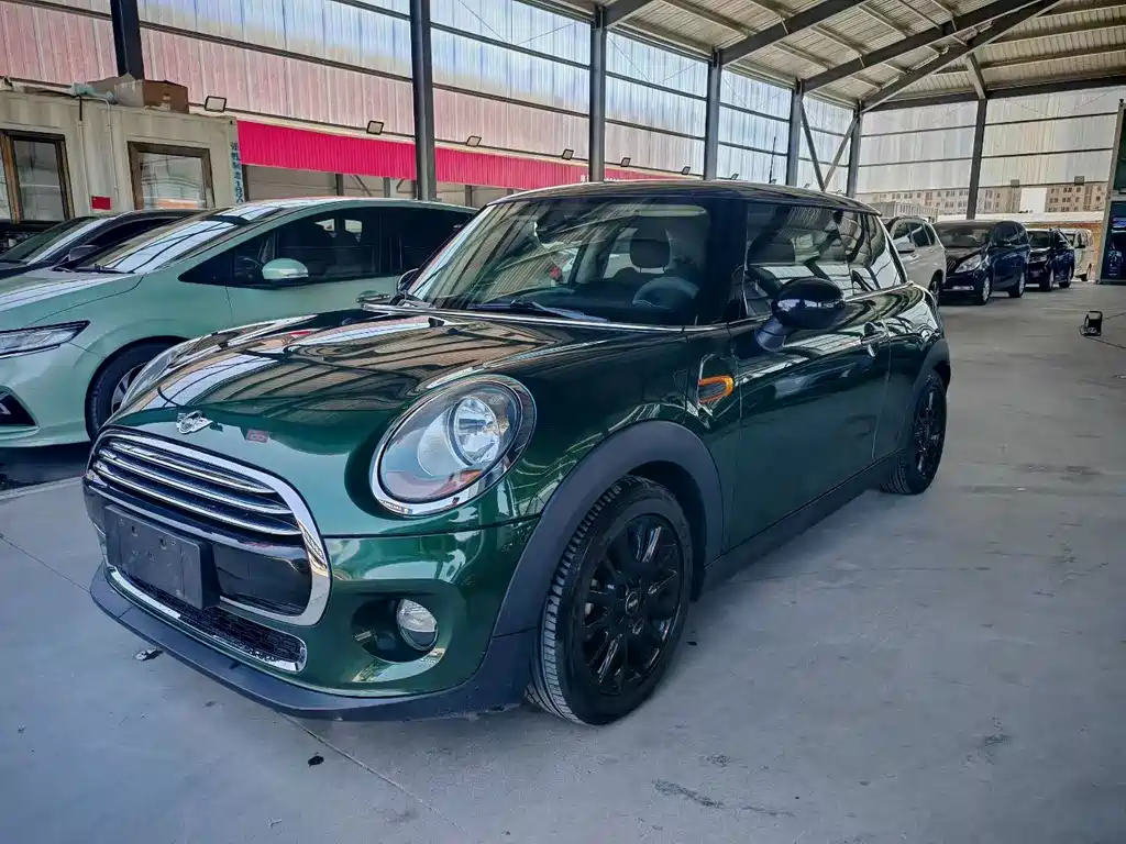 MINI MINI 2018