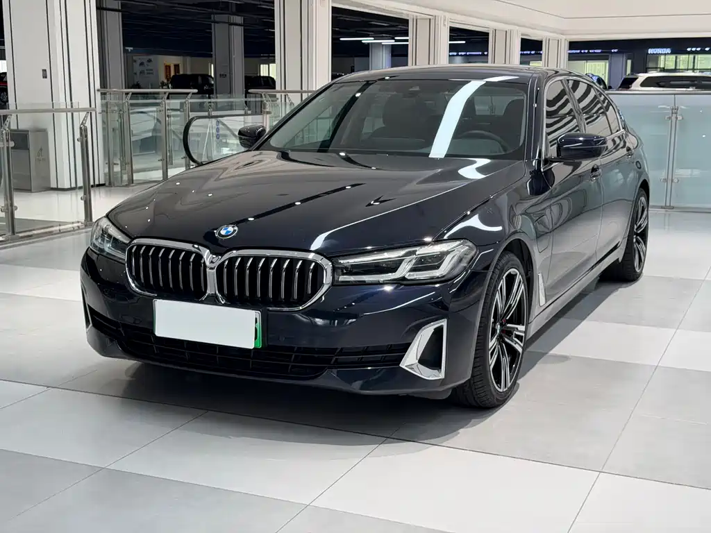 BMW 5 Series New Energy 2021