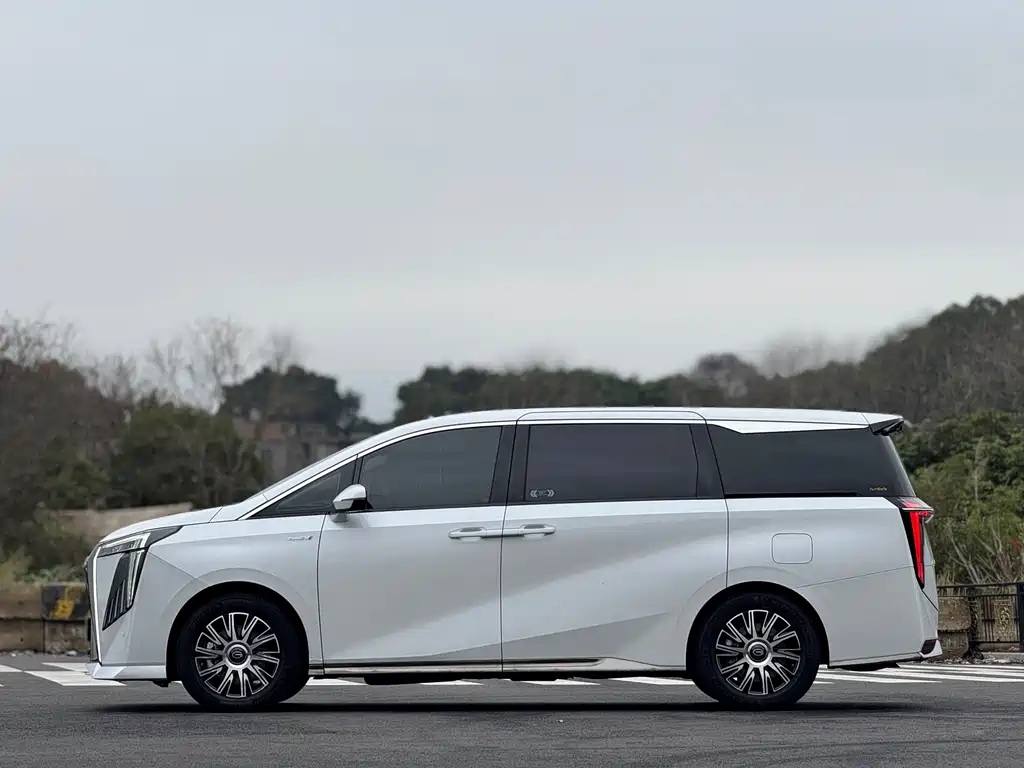 GAC Motor Trumpchi E9 2024 — фото 24