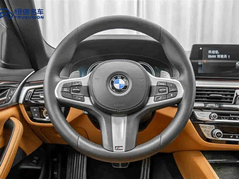 BMW 5 Series 2019 — фото 17