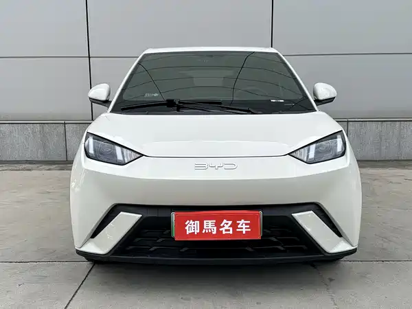BYD Seagull 2024