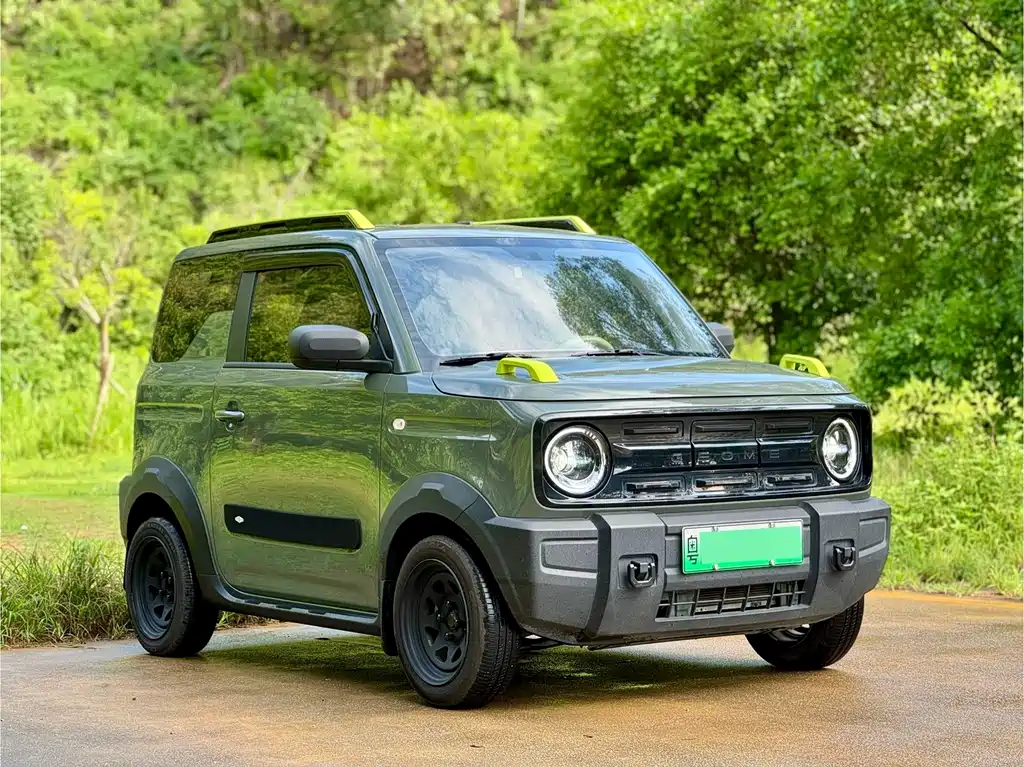 Geely Galaxy Panda 2024
