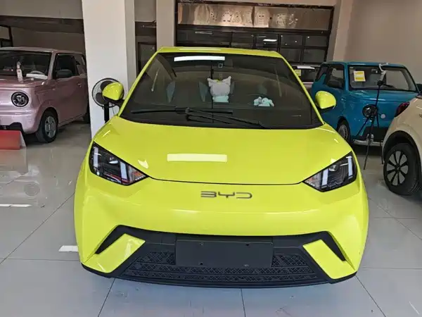 BYD Seagull 2024
