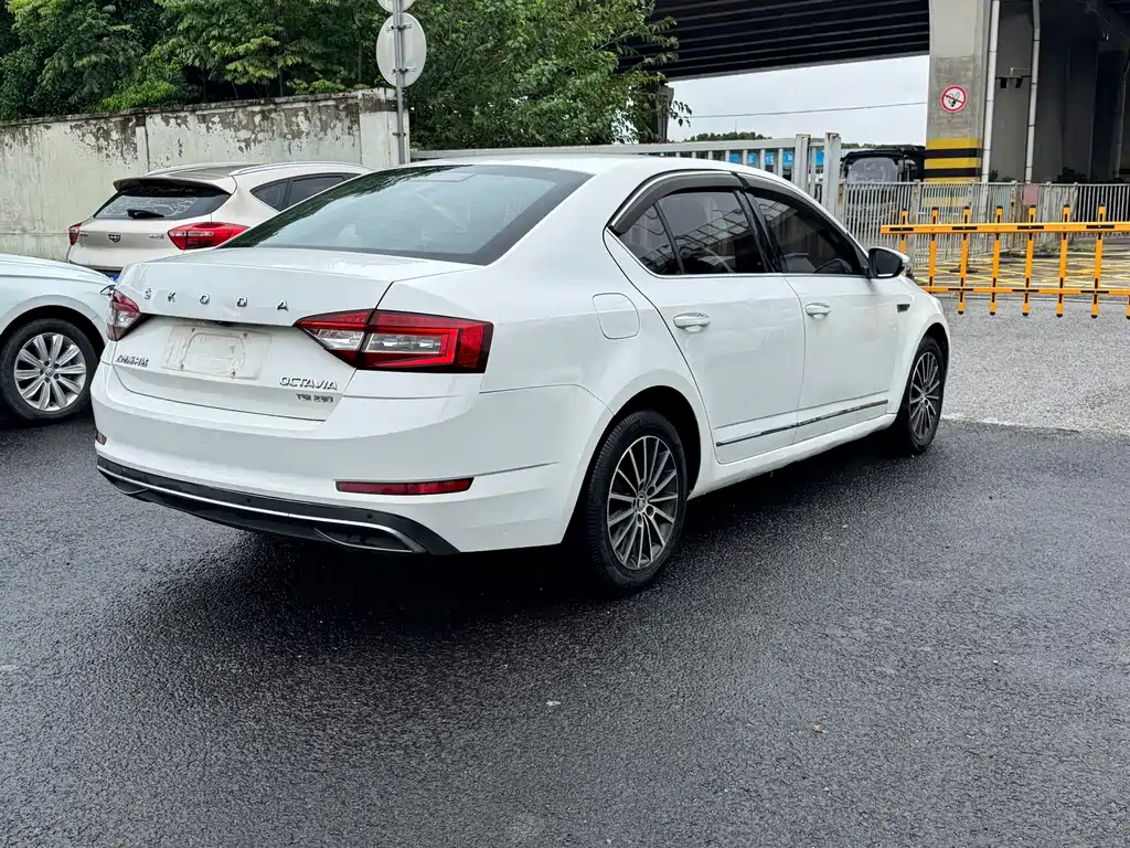 Skoda Octavia 2019 — фото 16