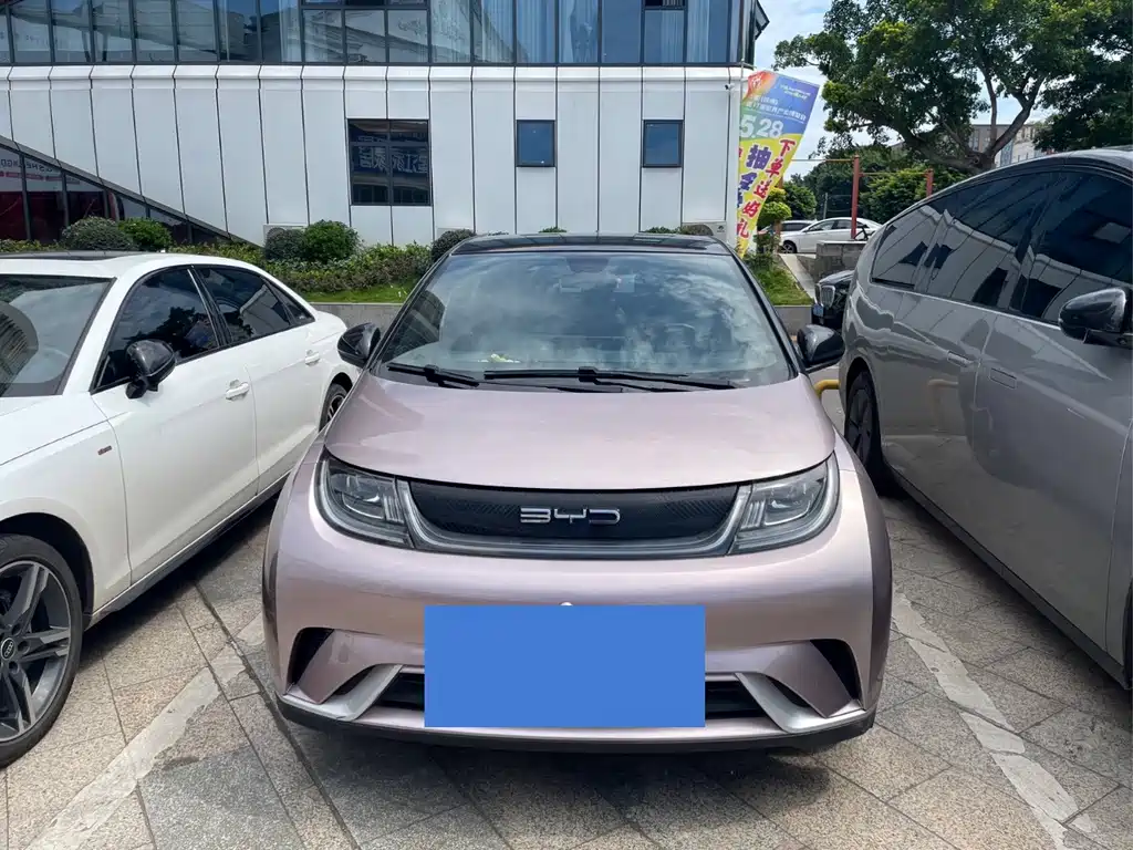 BYD Dolphin 2022
