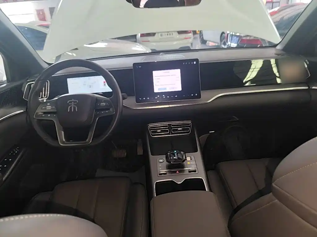 BYD Song Pro New Energy 2025 — фото 10