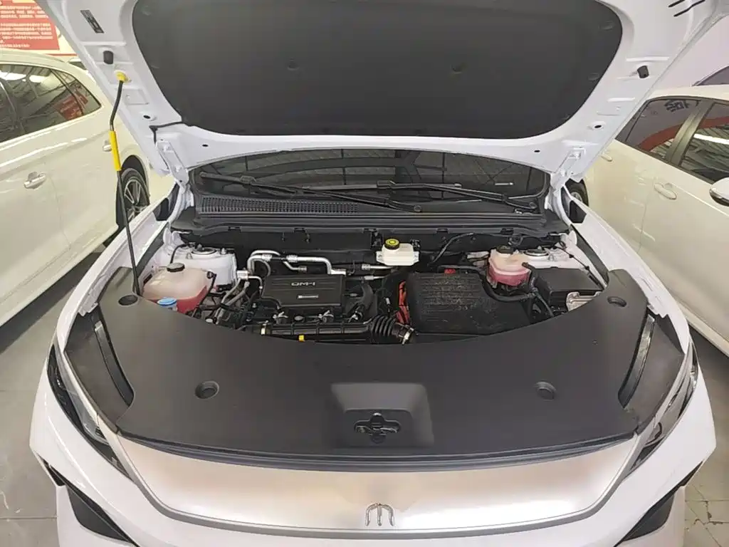 BYD Song Pro New Energy 2025 — фото 20