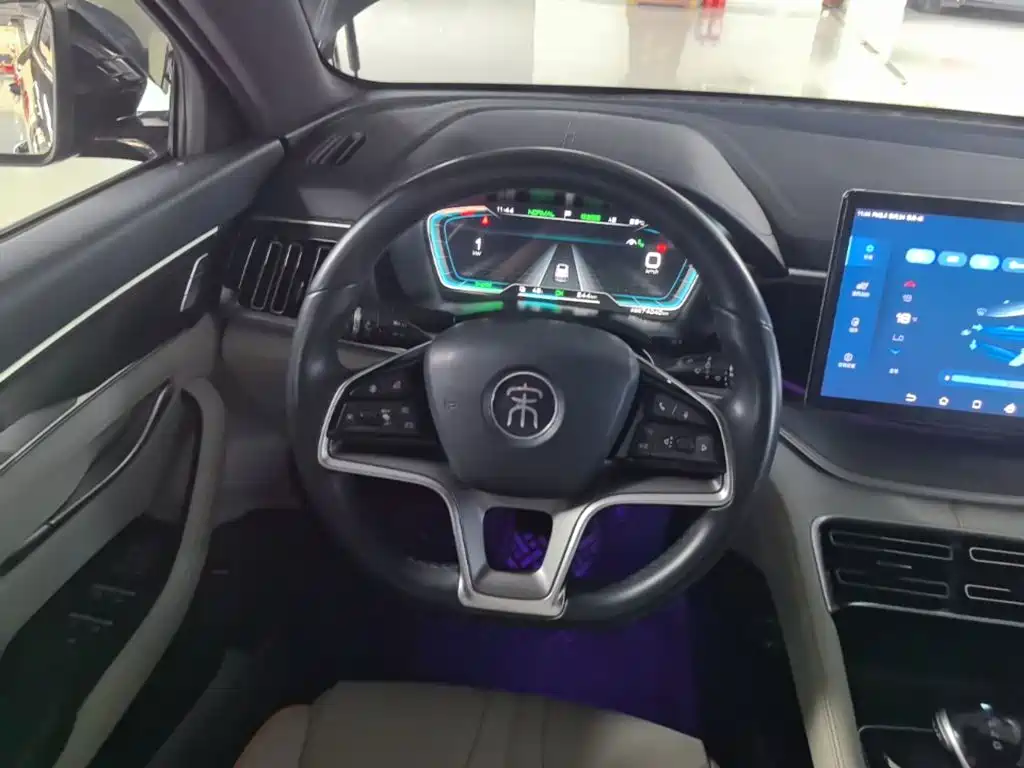 BYD Song PLUS New Energy 2023 — фото 11