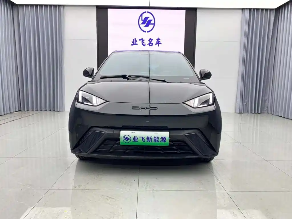 BYD Seagull 2024