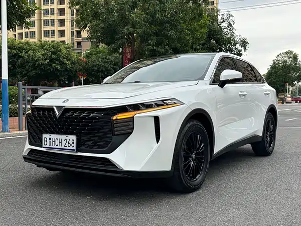 Venucia Big V 2022