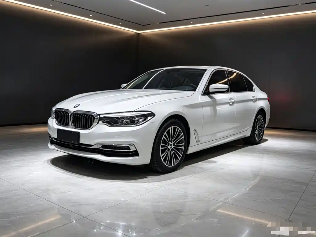 BMW 5 Series 2019