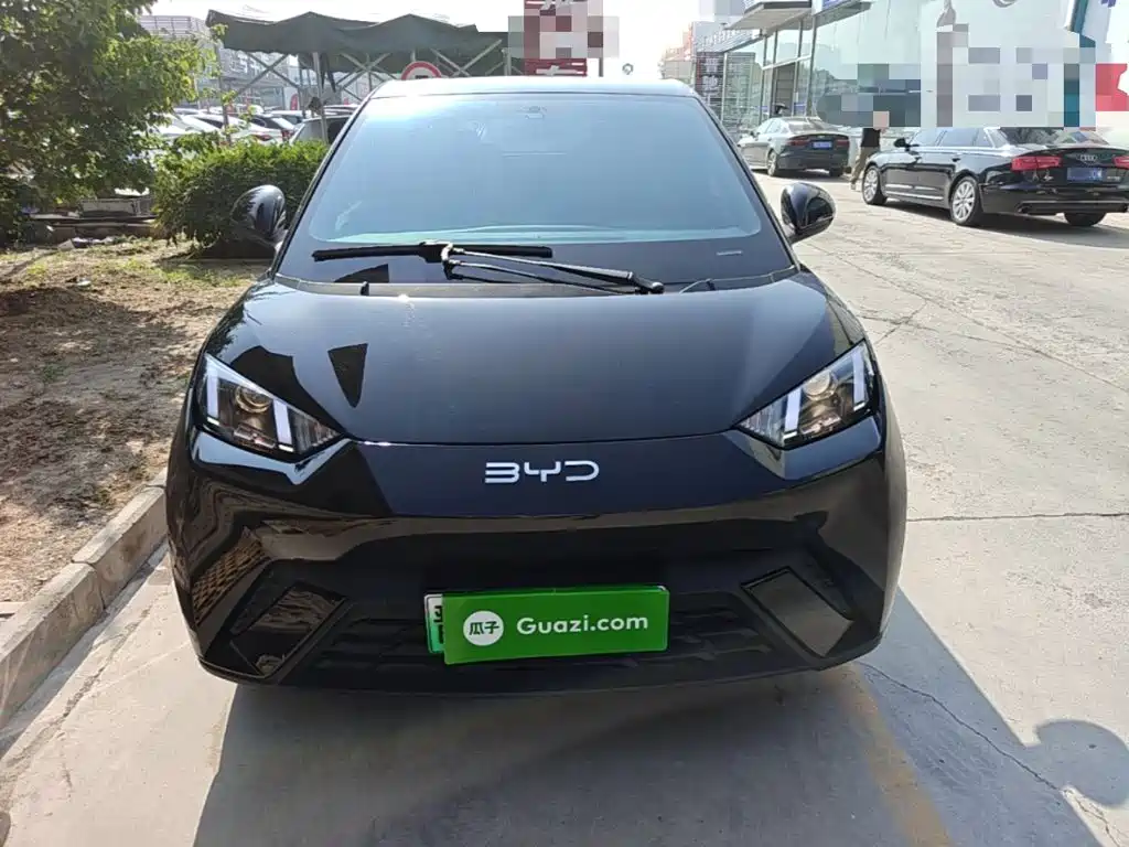 BYD Seagull 2024