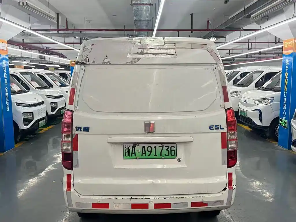 Farizon Yuan Cheng E5 2019