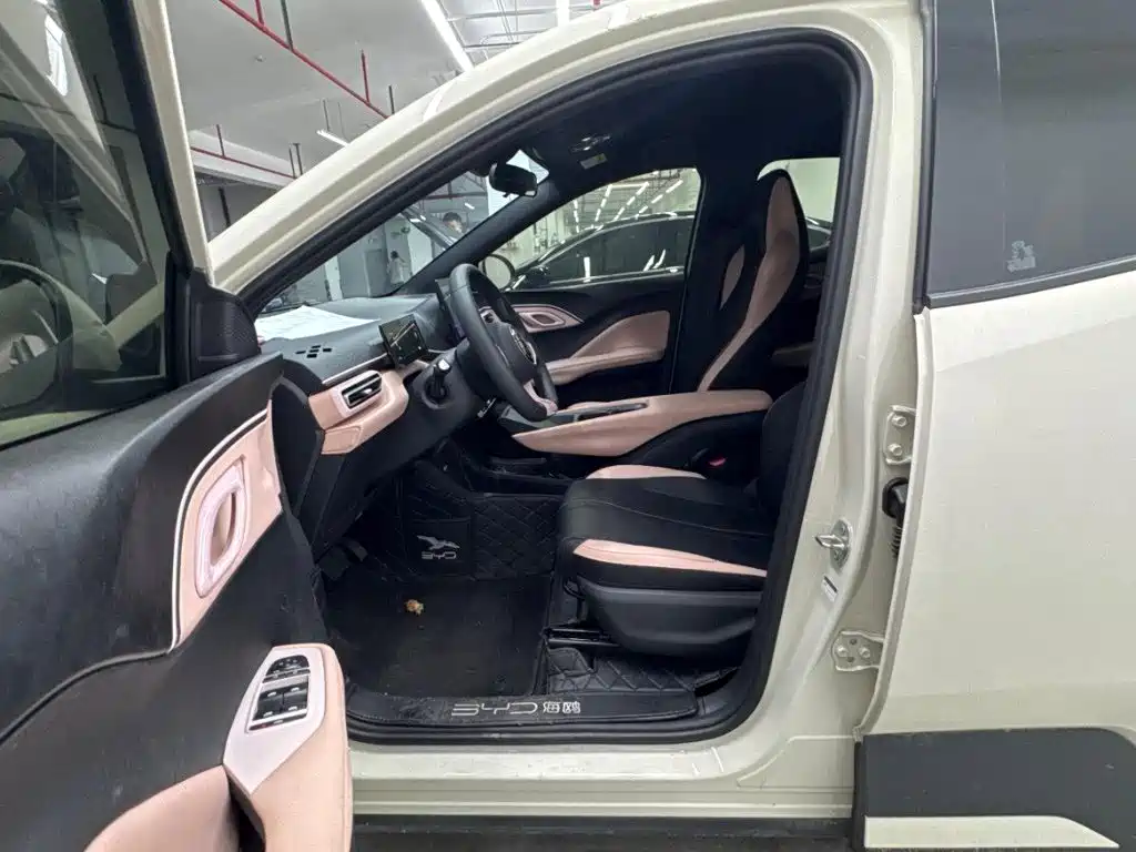 BYD Seagull 2025