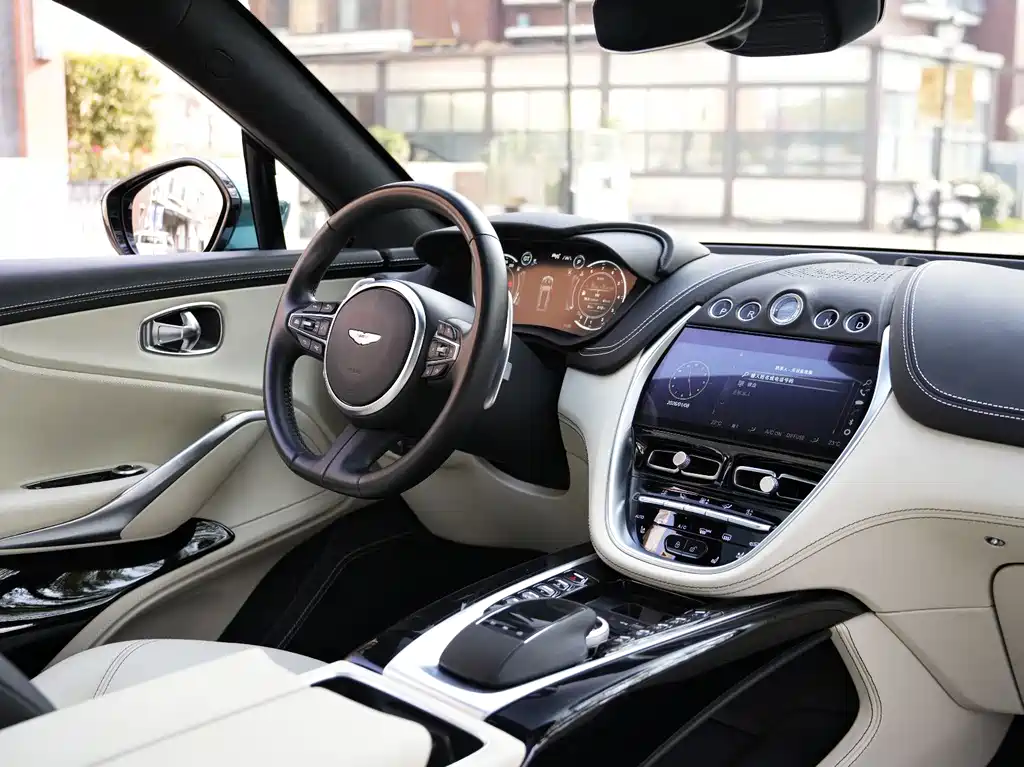 Aston Martin DBX 2023 — фото 16