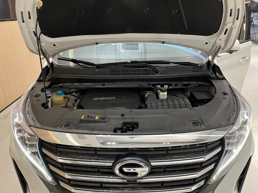 GAC Motor Trumpchi M8 2022 — фото 23