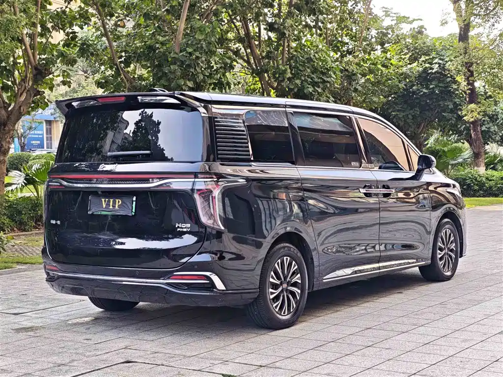 Hongqi HQ9 PHEV 2024 — фото 16