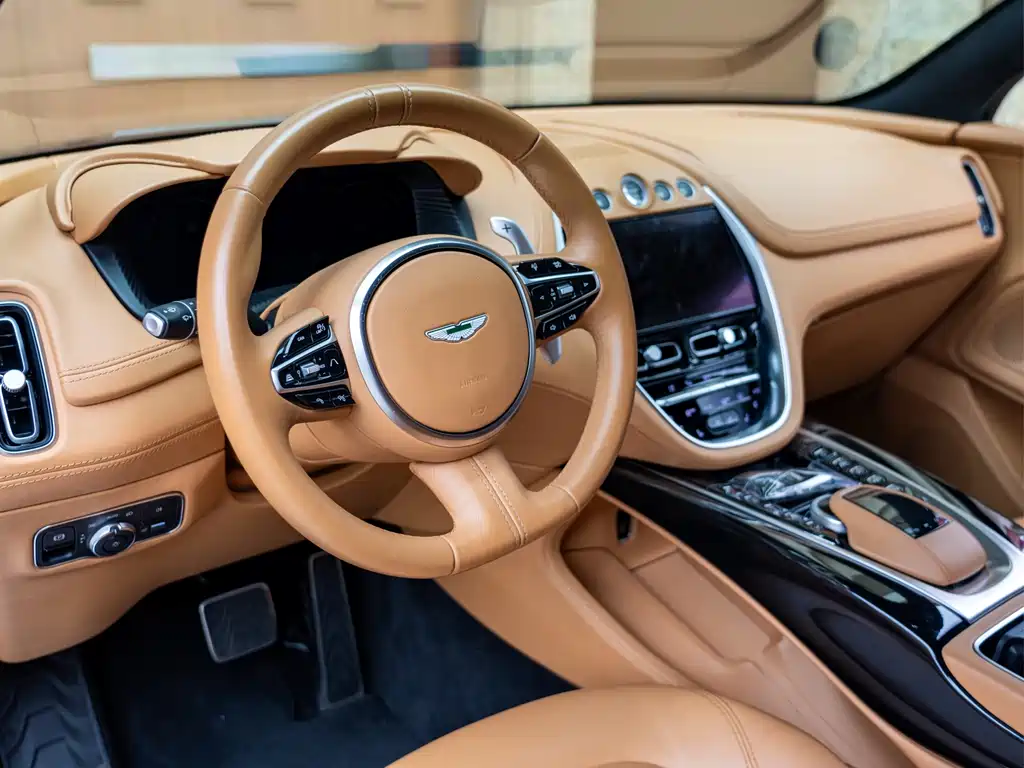 Aston Martin DBX 2020 — фото 13