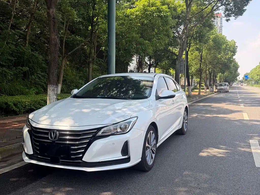 Changan Ruicheng CC 2020