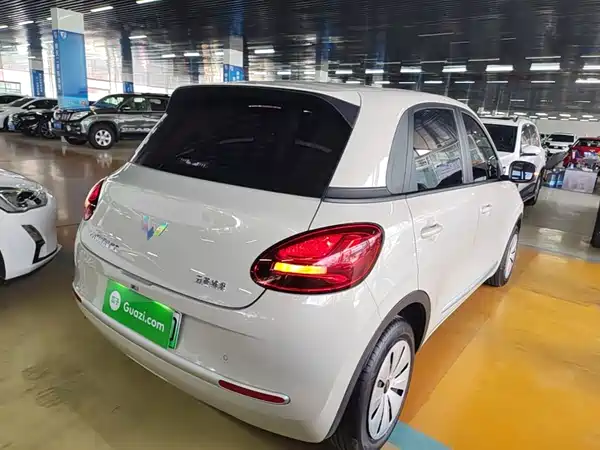 Wuling Bingo 2024