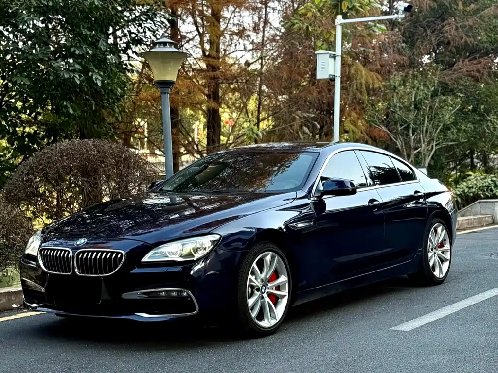 BMW 6 Series 2017 — фото 9