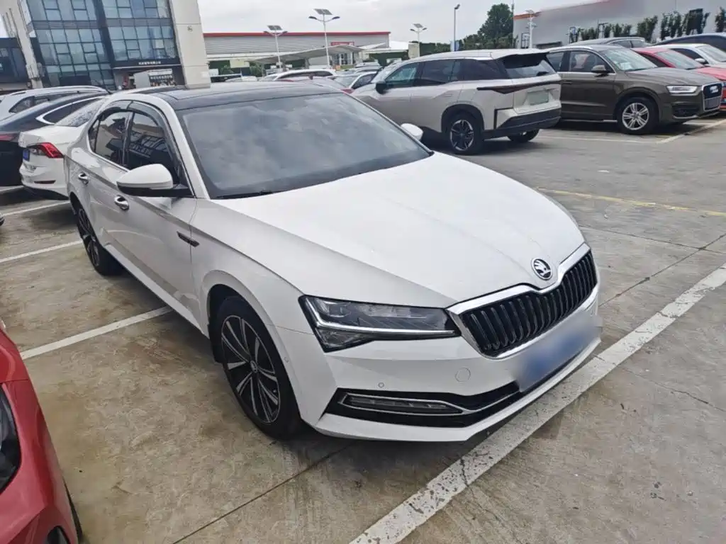 Skoda Speedy 2024