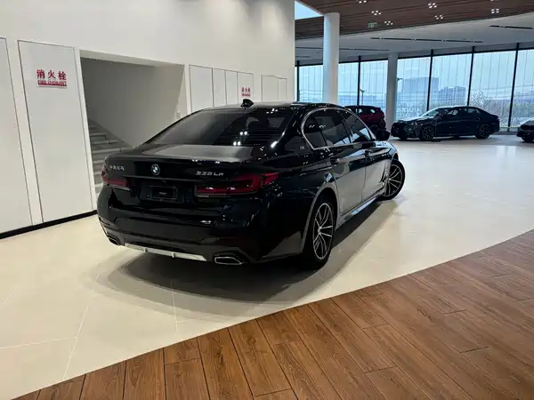 BMW 5 Series New Energy 2021