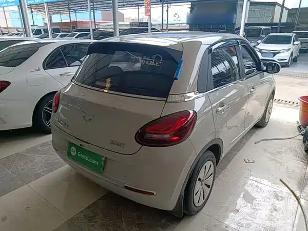 Wuling Bingo 2024