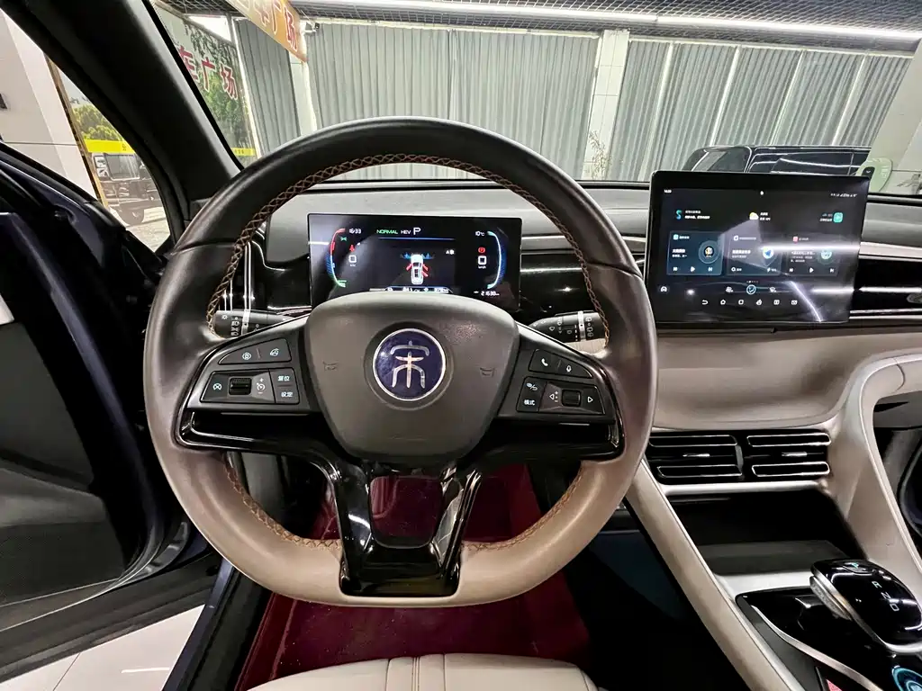 BYD Pro New Energy 2024 — фото 11