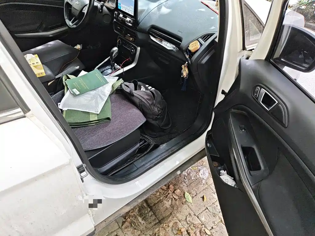 Ford Ecosport 2018 — фото 21