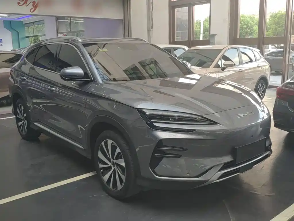 BYD Song PLUS New Energy 2024 — фото 22