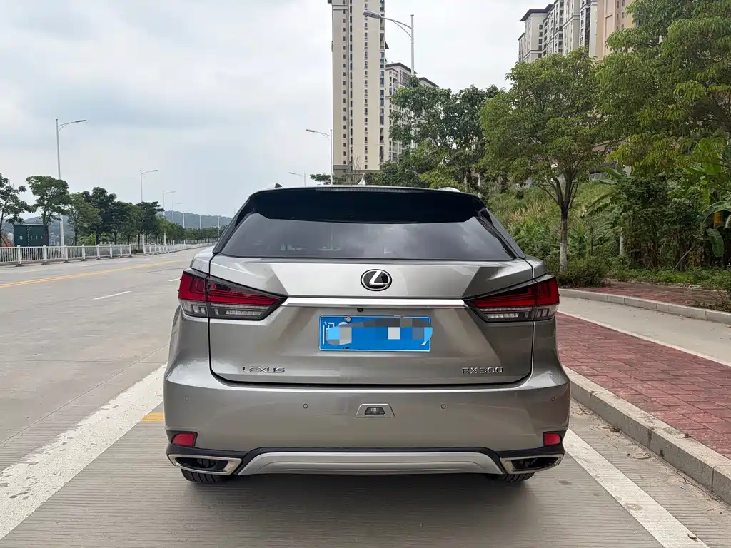 Lexus RX 2022 — фото 11