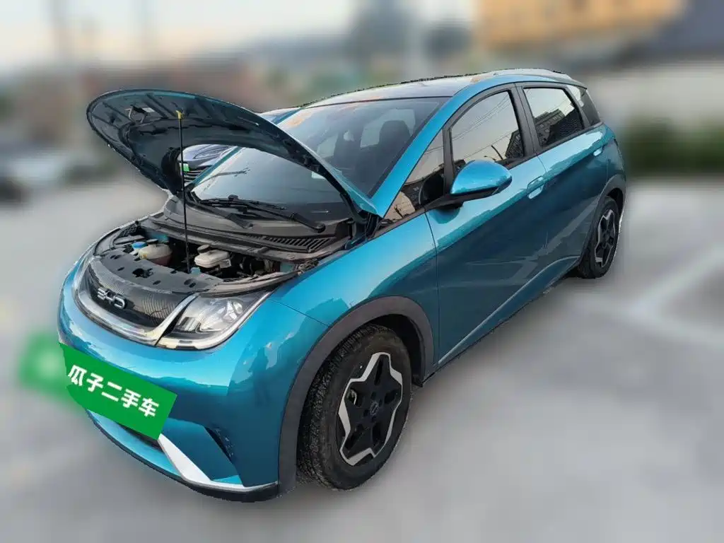 BYD Dolphin 2022