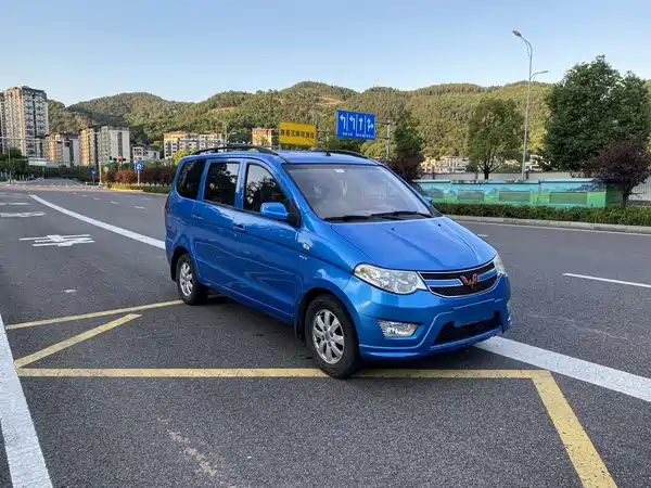 Wuling Hongguang 2014